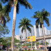 Cau Vua công trình, trồng dải phân cách đường phố