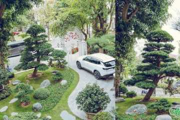 Thiết kế và trồng cây cho khu nghỉ dưỡng tại Phú Quốc