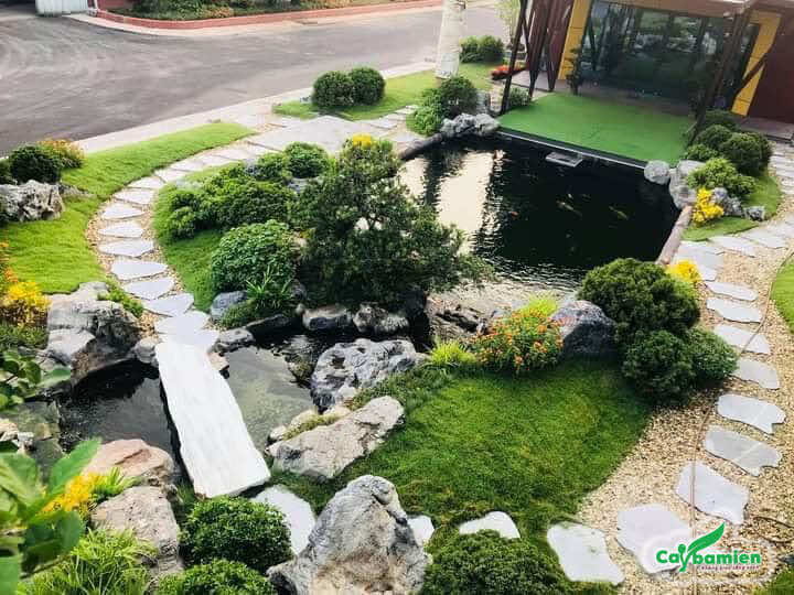 Thiết kế sân vườn biệt thự time city