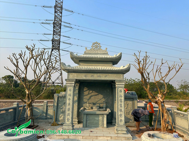 Thi công trồng hai cây hoa đại cổ thụ cho khu lăng mộ gia tộc