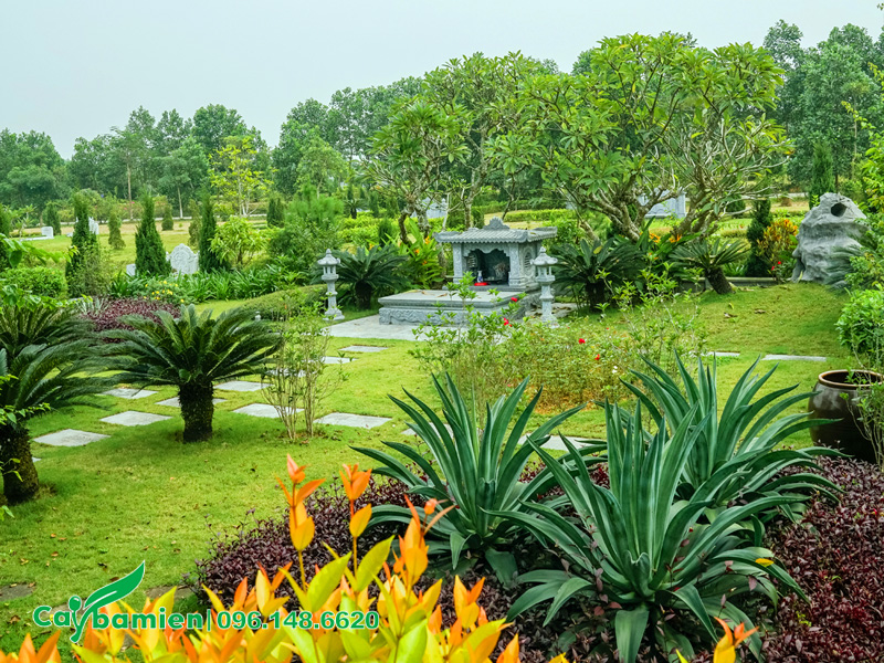 Một góc cây xanh trong công viên nghĩa trang