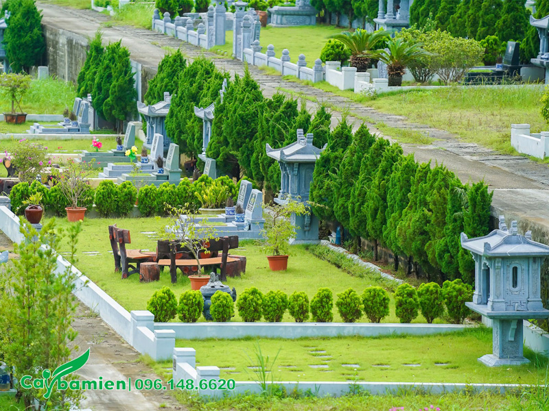 Thiết kế và trồng cây cho một khu mộ trong công viên nghĩa trang