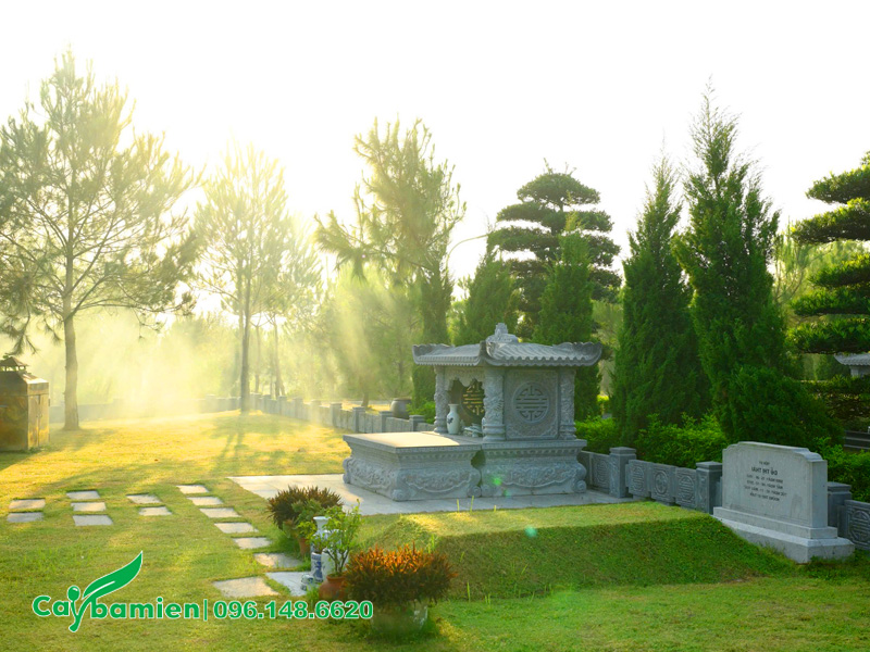 Cảnh quan khu lăng mộ đẹp, trang trọng với các loại cây tâm linh đẹp