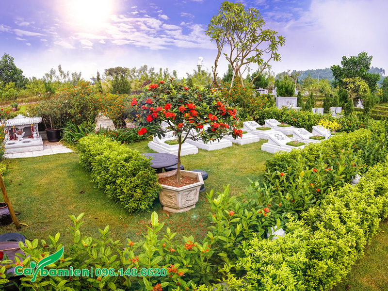 Khuôn viên xanh cho khu lăng mộ đẹp và sinh động
