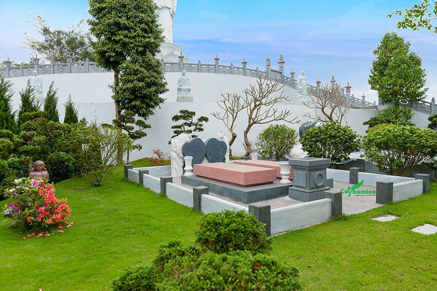Cây trồng ở mộ là những cây xanh công trình có ý nghĩa phong thủy tốt