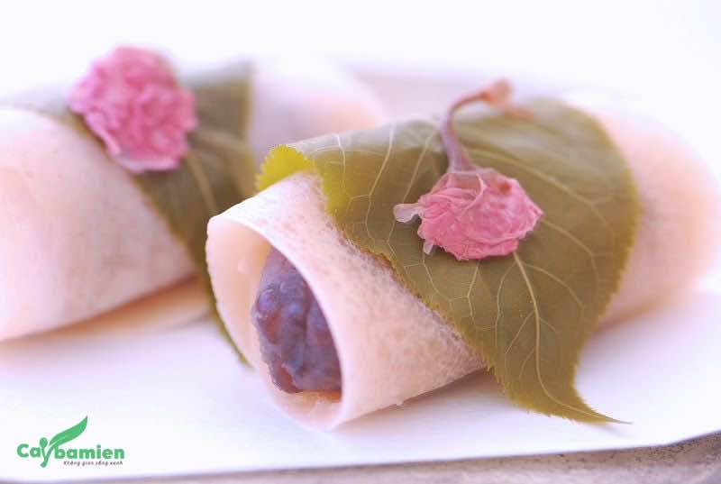 Hoa Anh Đào trong món ăn truyền thống của người Nhật