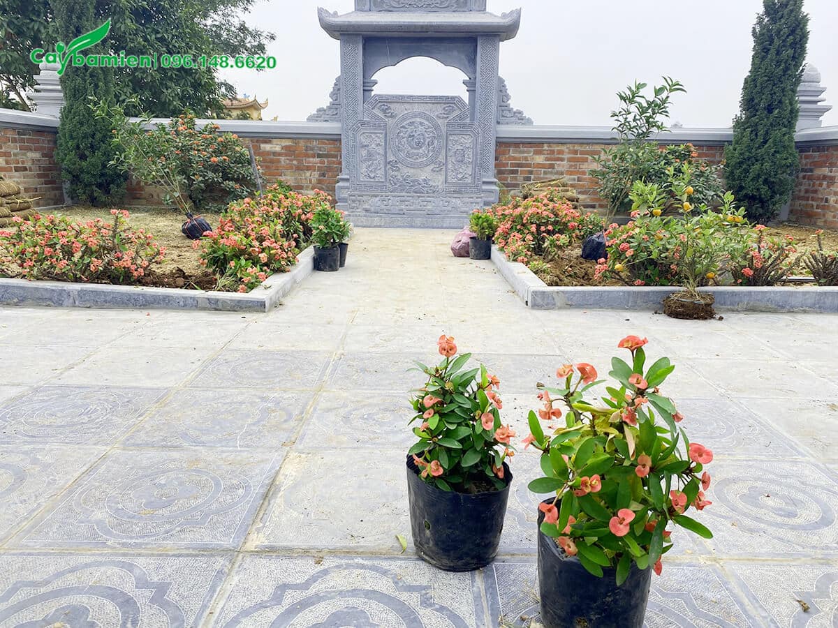 Khuôn viên chính của khu lăng mộ nổi bật với sắc hoa Bát Tiên