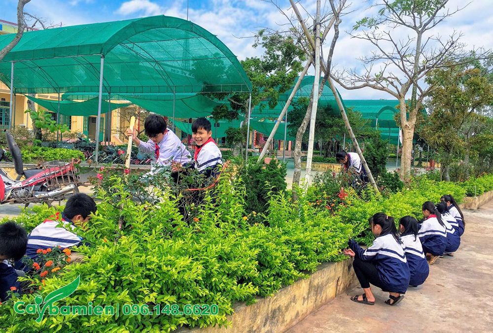 Các em học sinh đang trong giờ lao động tự tay chăm sóc vườn hoa trường học