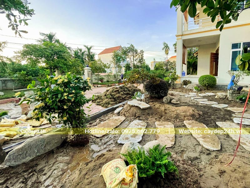 Tiến hành trồng cây trang trí cho sân vườn biệt thự