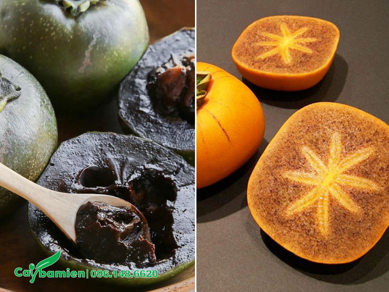 Hình ảnh phân biệt hai loại quả Hồng Socola