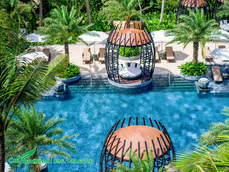 Cây trồng hồ bơi resort đẹp