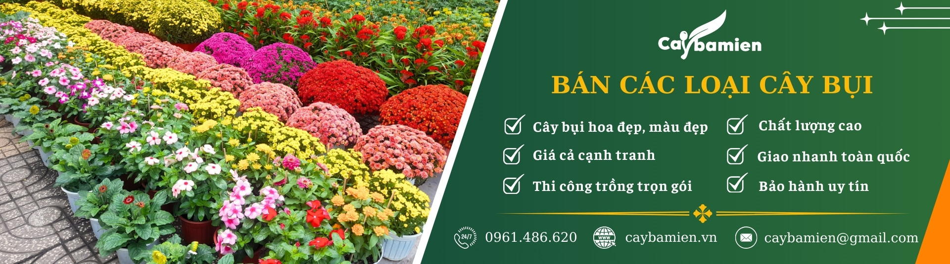 ảnh banner danh mục cây xanh