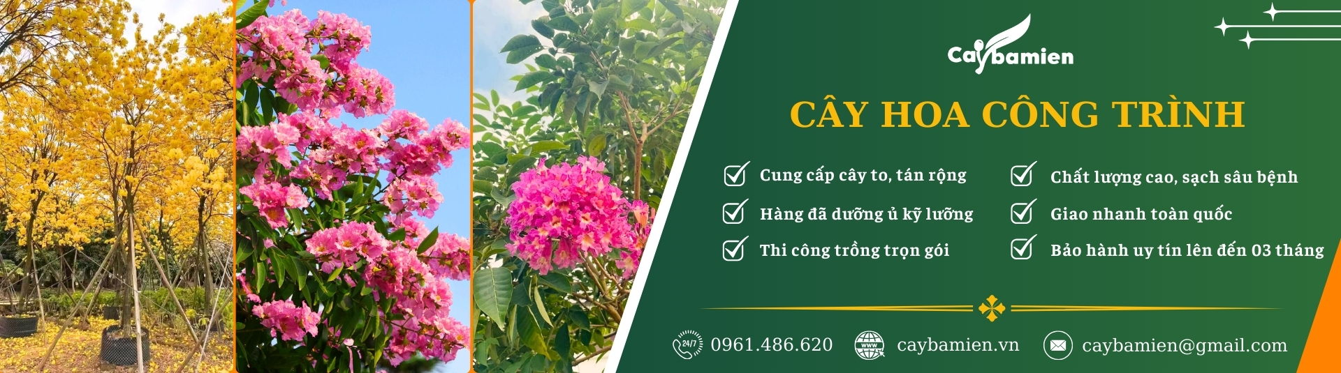 ảnh banner danh mục cây xanh