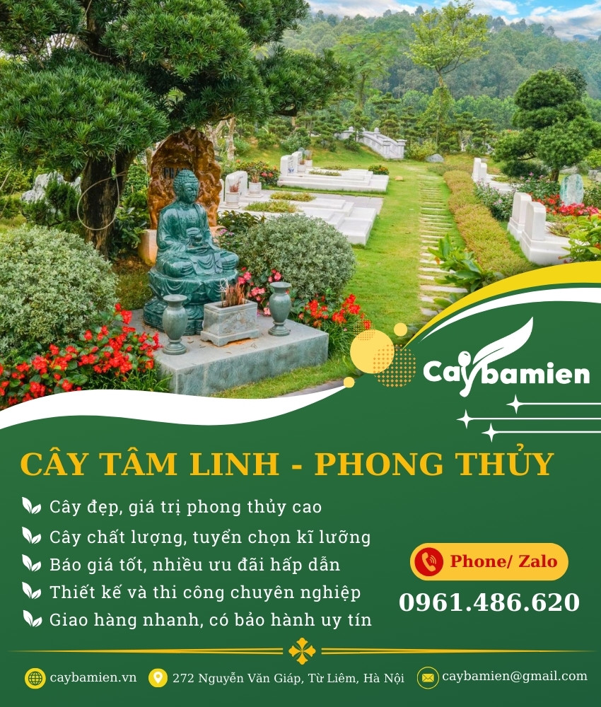 ảnh banner danh mục cây xanh