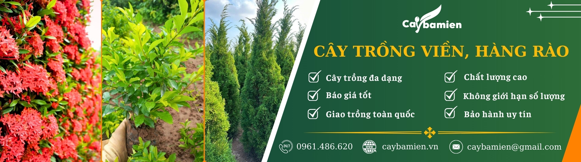 ảnh banner danh mục cây xanh