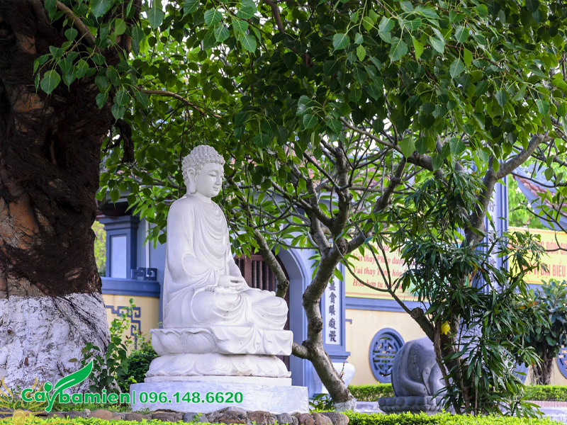 Bồ Đề Phật Giáo công trình