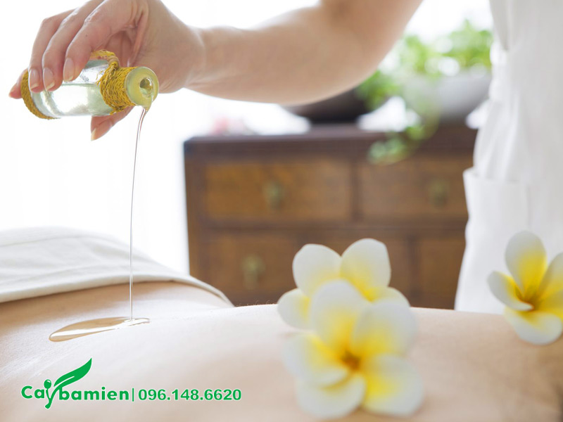 Massage bằng tinh dầu hoa đại