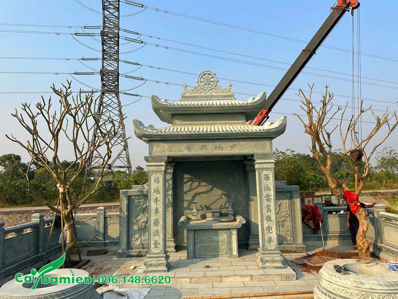 Hoa đại vàng trồng khu lăng mộ gia đình