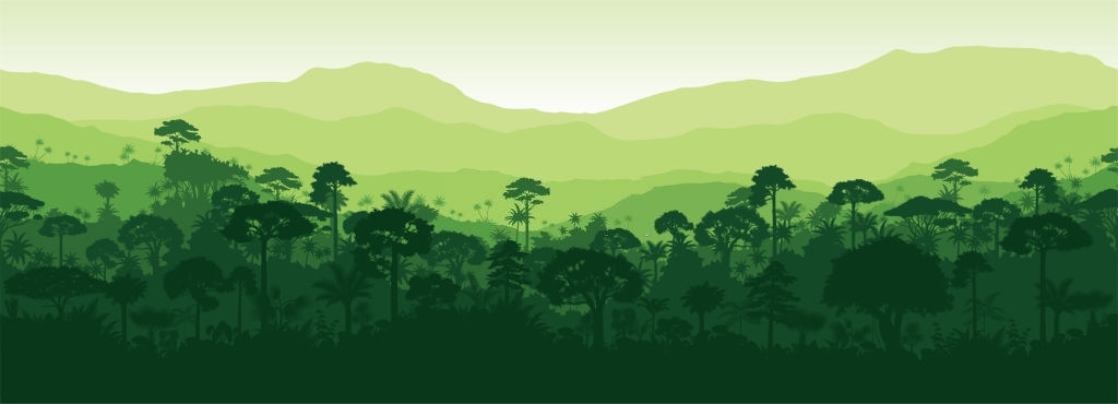 banner nền cây xanh đẹp