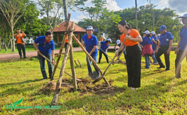 Thi công trồng cây xanh cho Ủy ban về người Việt Nam ở nước ngoài