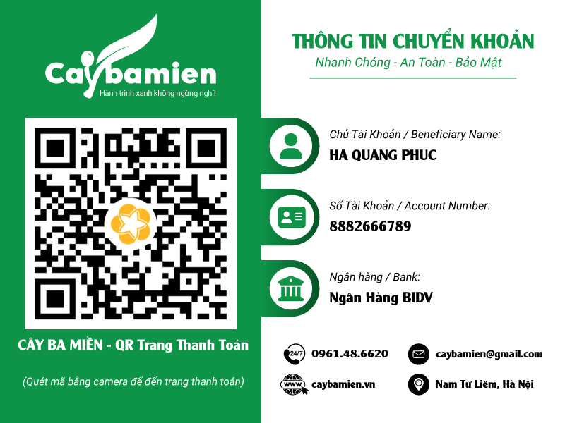 Số tài khoản và QR tài khoản cá nhân của Cây Ba Miền