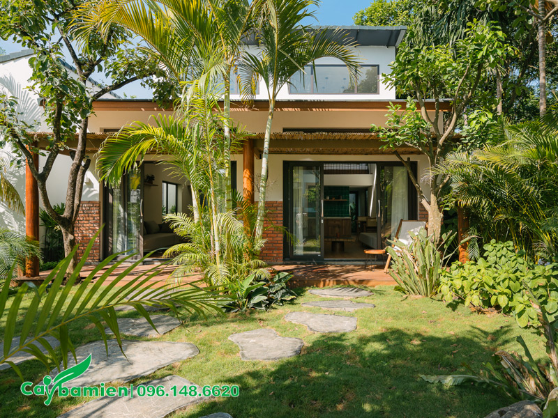 Không gian sân vườn gia đình đẹp