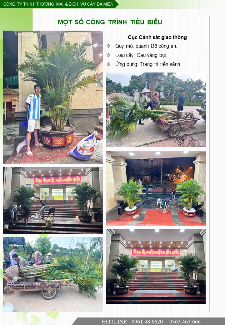 Trồng cây cảnh trang trí cho Cục Cảnh sát Giao Thông