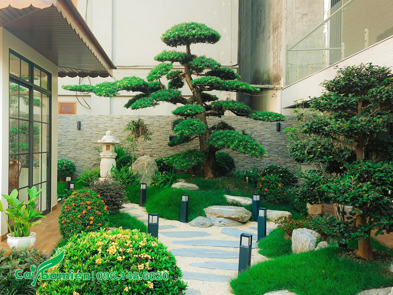 Thiết kế cảnh quan sân vườn biệt thự