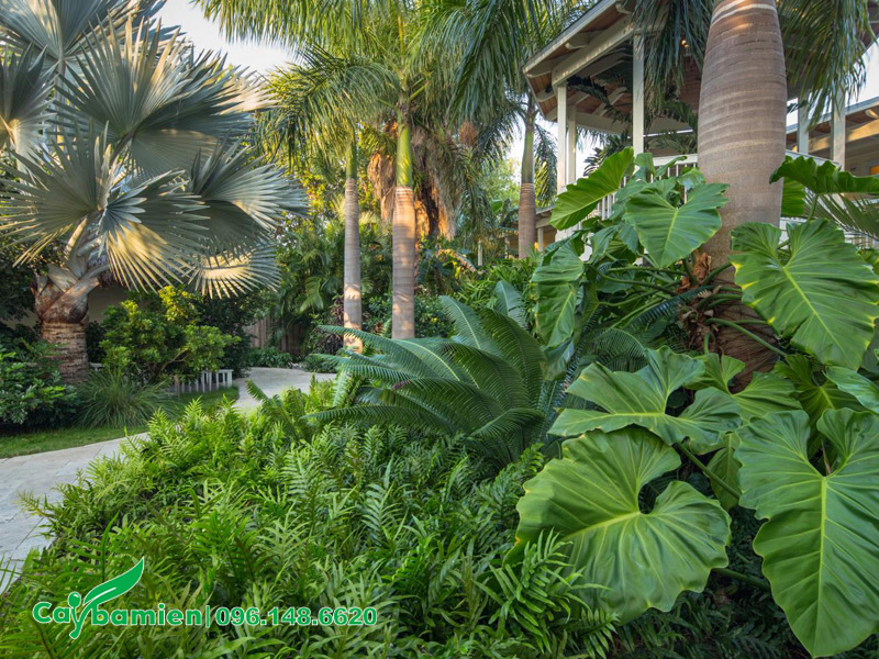 Ngôi nhà được bao quanh bởi cây xanh công trình