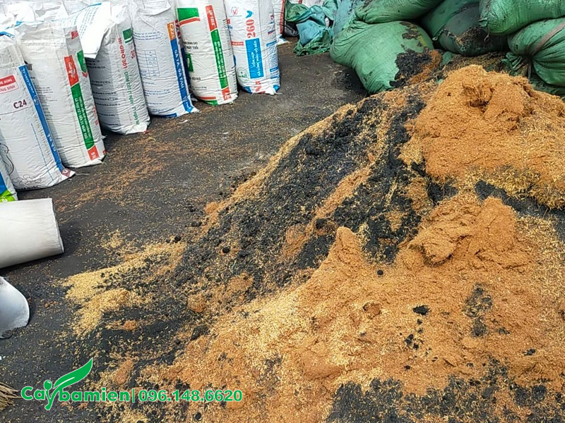 Tự trộn các loại đất trồng cây xanh tại nhà