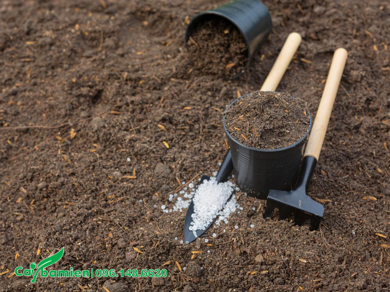 Trộn thêm các chất hữu cơ cho đất phèn