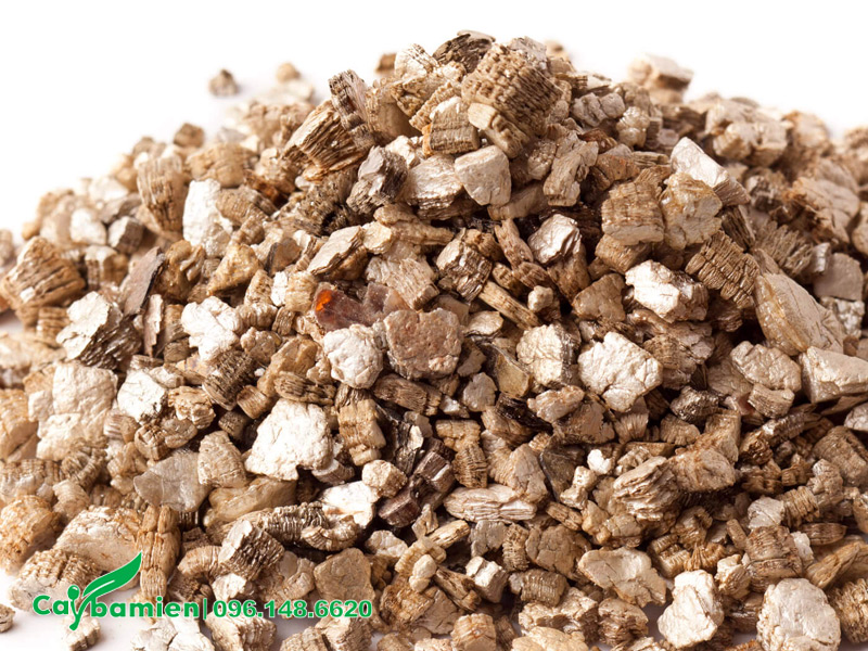 Hình dáng của đá vermiculite dùng trong trồng cây cảnh