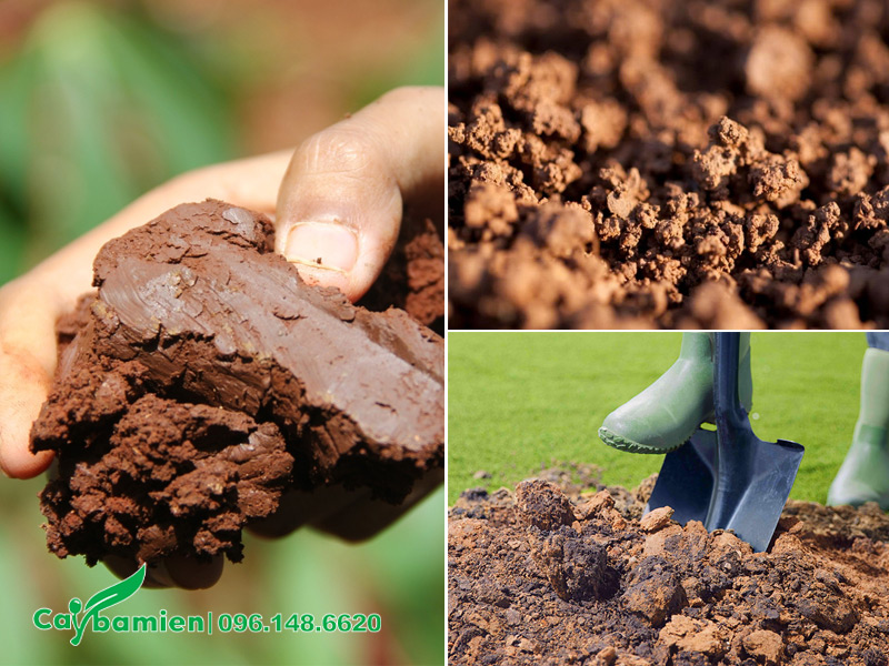 Đặc tính của đất sét là một loại đất nặng