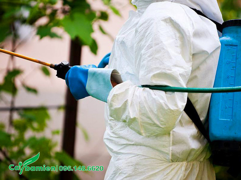 Mặc đầy đủ quần áo bảo hộ khi phun thuốc hóa học