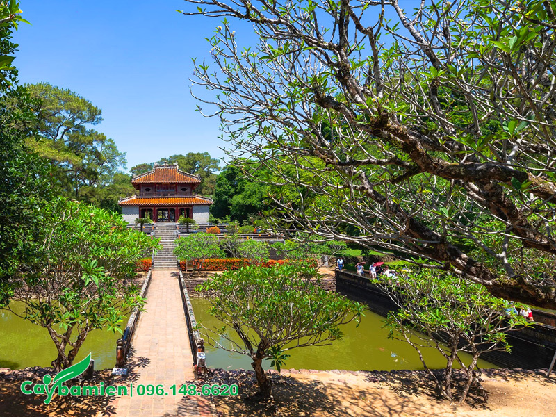 Hình ảnh những cây hoa đại trồng trong khuôn viên khu lăng mộ vua chúa