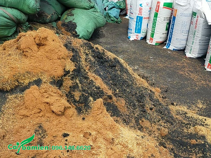 Giá thể hữu cơ dùng để cải tạo đất sét trồng cây