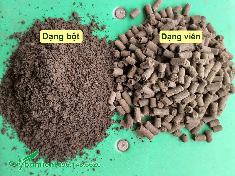 Phân trùn quế ở hai dạng bột và viên nén thường được dùng trong trồng cây xanh, cây cảnh