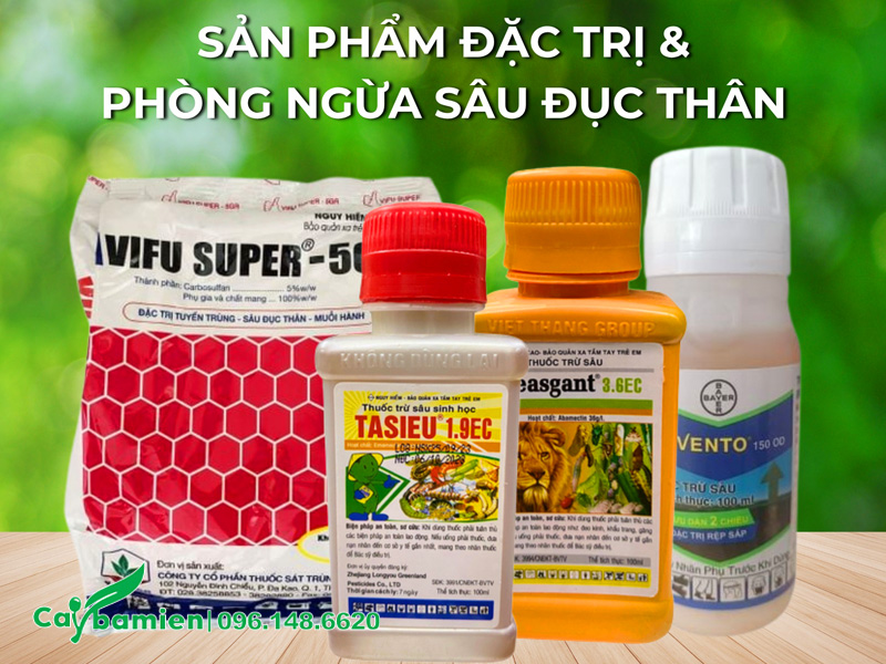 Các loại thuốc hóa học, thuốc có nguồn gốc sinh học để trị sâu đục thân trên cây hoa ban