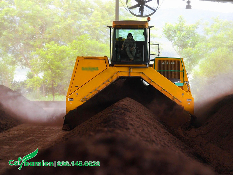 Quá trình ủ phân bò để làm giá thể trồng cây xanh