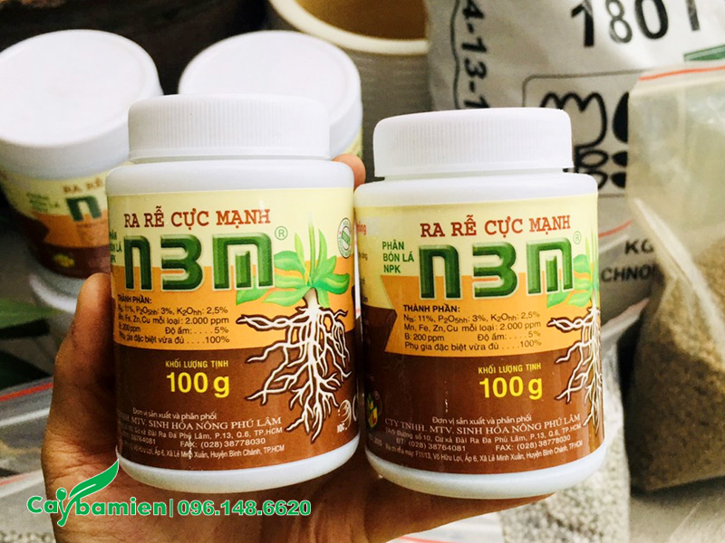 Thuốc kích rễ N3M dùng để tưới cho vườn cỏ mới trồng