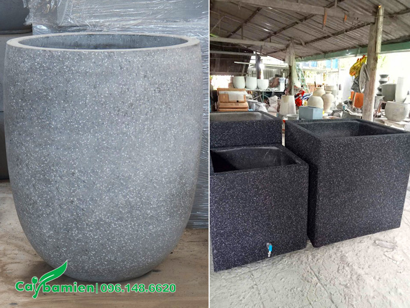 Trồng cây trong các loại chậu cổ cao để gia tăng không gian cho bộ rễ