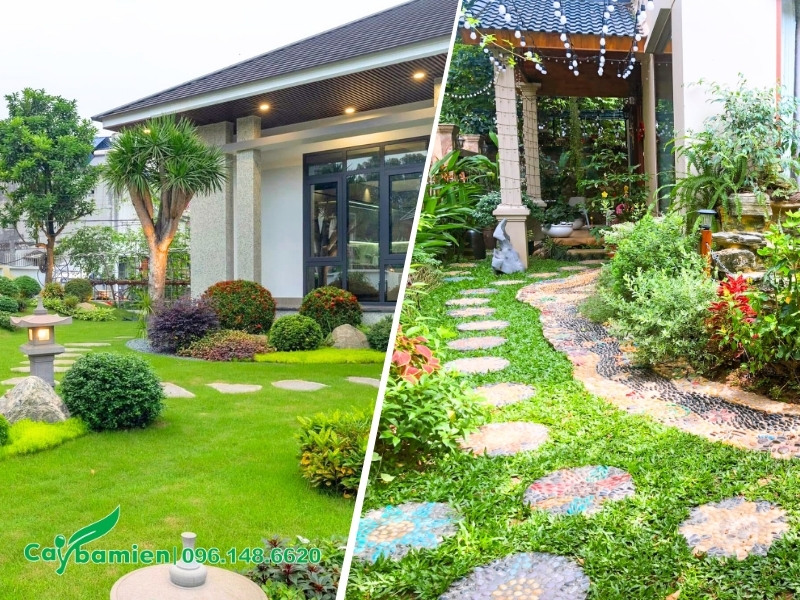 Sân vườn biệt thự được phủ xanh bởi những thảm cỏ tươi
