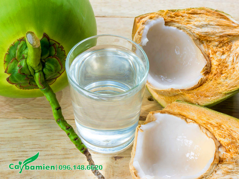 Nước dừa tươi là món đồ uống yêu thích của người Việt
