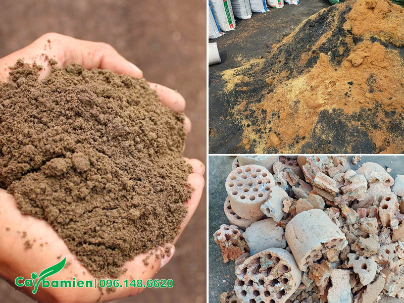 Trộn giá thể trồng cây Vạn Tuế trong chậu cảnh