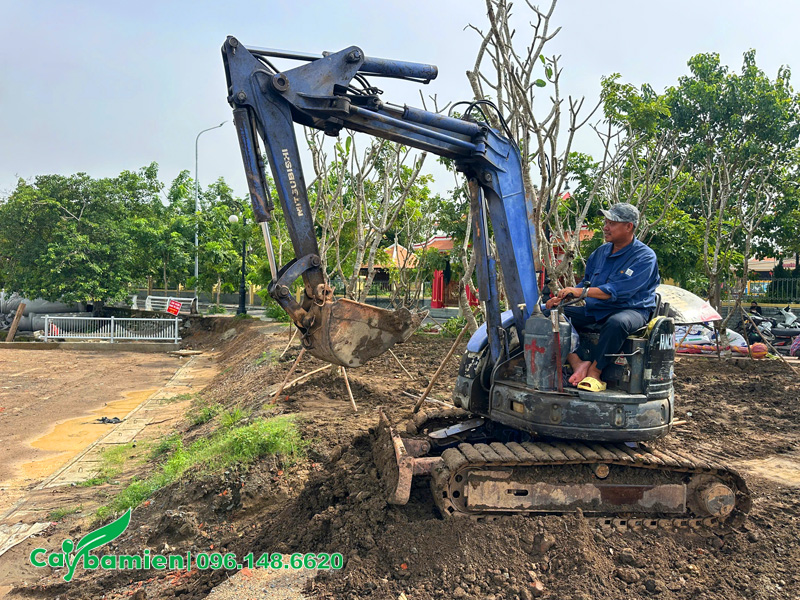 San phẳng mặt bằng trước khi trồng cỏ