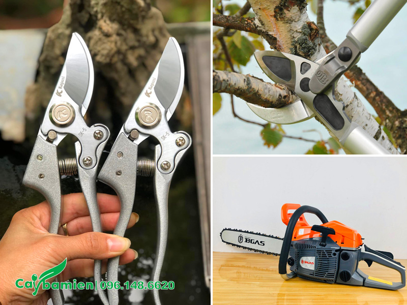 Dụng cụ cắt tỉa cây Sò Đo Cam công trình