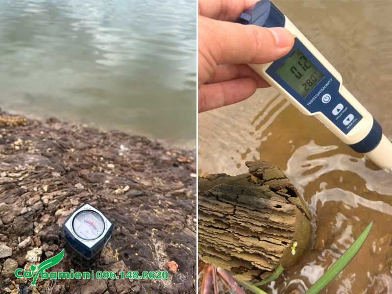 Đo độ pH đất và độ lợ trong nước tưới