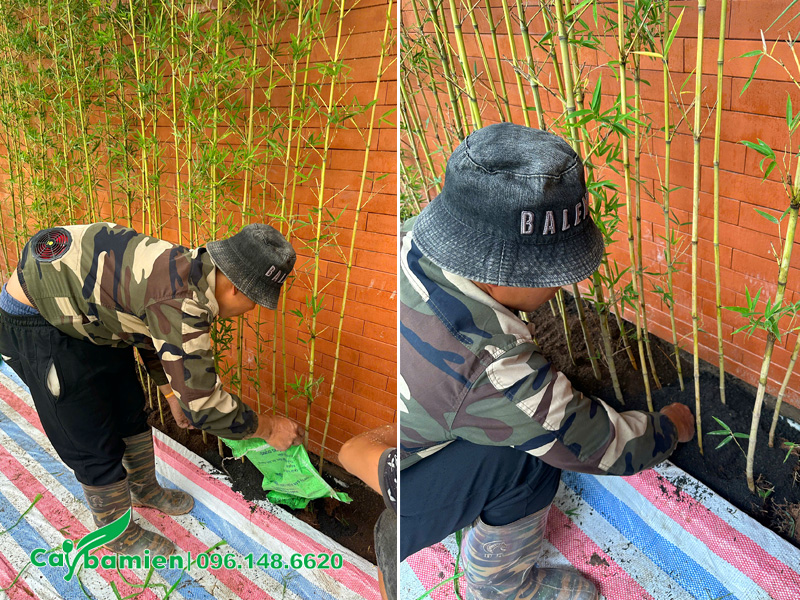 Thi công trồng cây đến đâu dải bạt đến đó