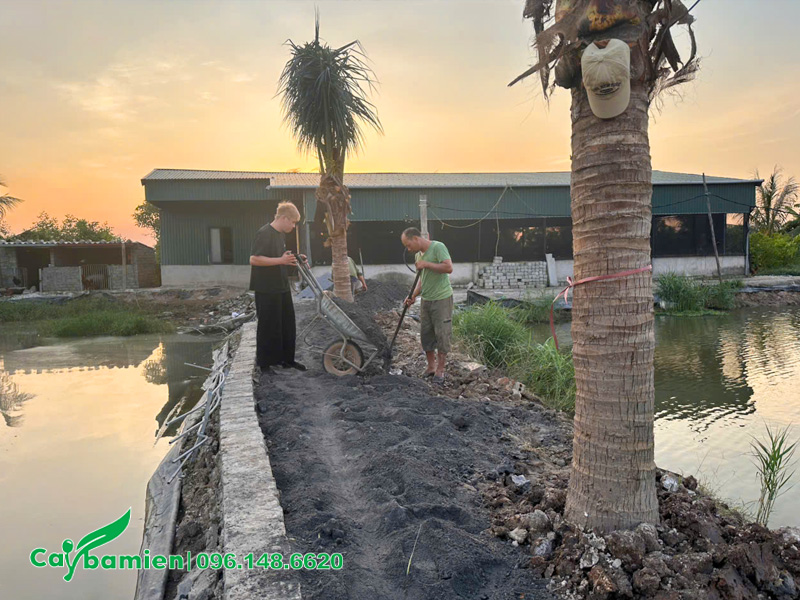 Công nhân đang đổ thâm đất để san phẳng lối đi