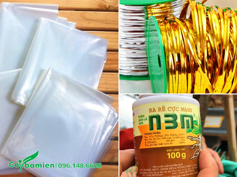 Túi nilon, dây kẽm thiếc và thuốc kích rễ để chiết cành cây mộc hương
